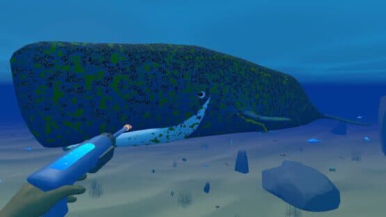Bodian's Bay Wash — screenshot 1
