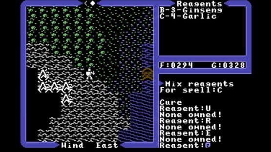 Ultima IV: C64 — screenshot 3