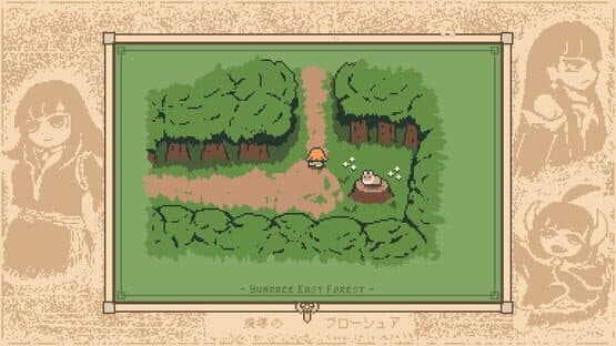 Wiz Brochure — screenshot 5