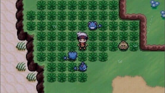 Pokémon Infinite Fusion 2: Hoenn — screenshot 4