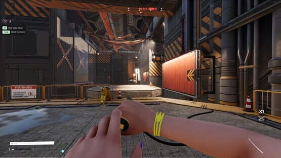 The Last of RAM — screenshot 2