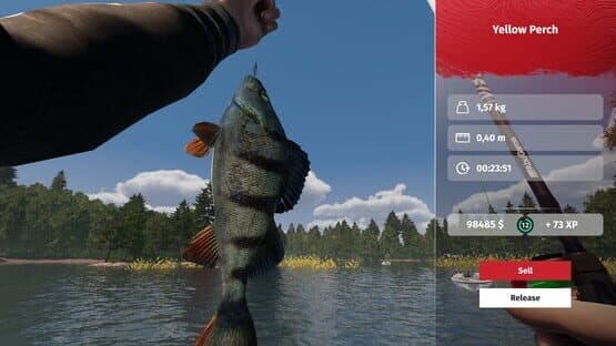 MLF: Pro Catch — screenshot 1