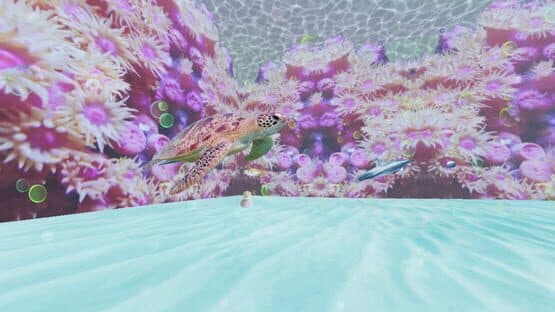 Deep Soup — screenshot 3