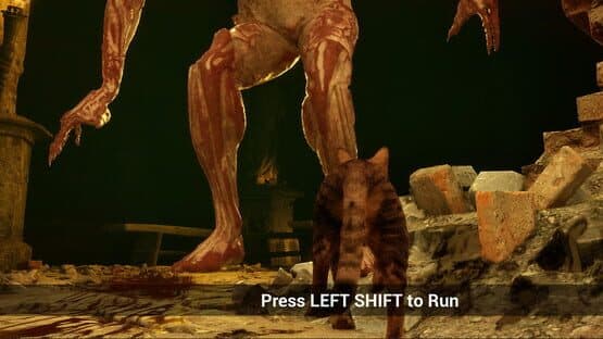 Meowmories — screenshot 2