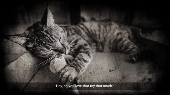 Meowmories — screenshot 7