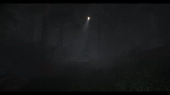 The Disappearance of Emily Crowe — screenshot 1