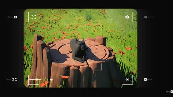 Cat a Photo — screenshot 3