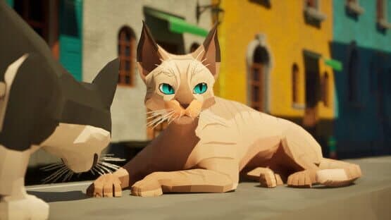 Cat a Photo — screenshot 4