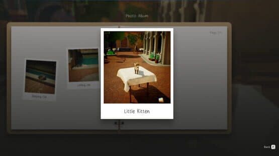 Cat a Photo — screenshot 6