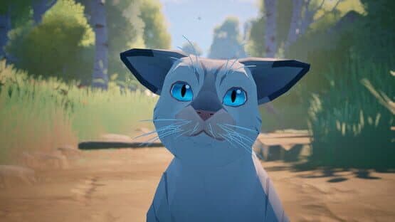 Cat a Photo — screenshot 7