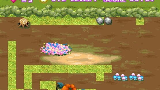 Pumpkin Surprise — screenshot 2