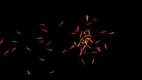 Goldfish Simulator — screenshot 4