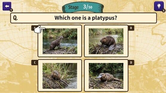Can You Make the Cut? Worldwide Common Sense Check — screenshot 3
