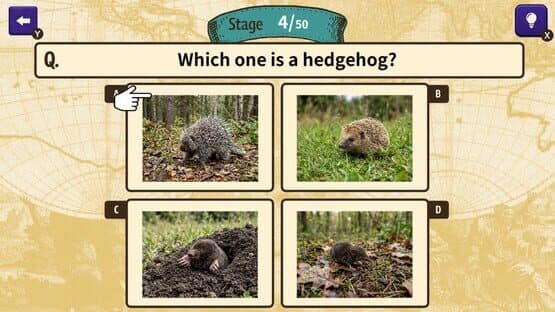 Can You Make the Cut? Worldwide Common Sense Check — screenshot 4