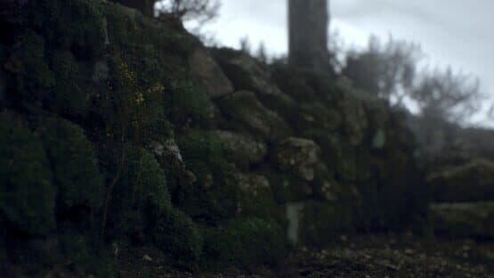 Ritual Tides — screenshot 5