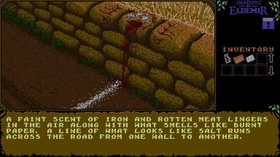 Shadows of Eldemir — screenshot 5