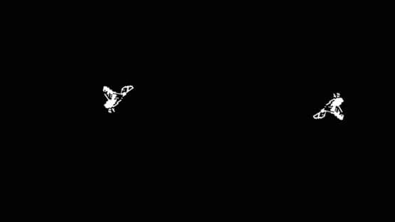 Bird-Shot — screenshot 3