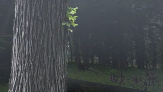 Wizard Soup — screenshot 1