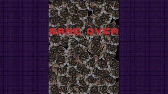 Lunyatic Invaders — screenshot 5