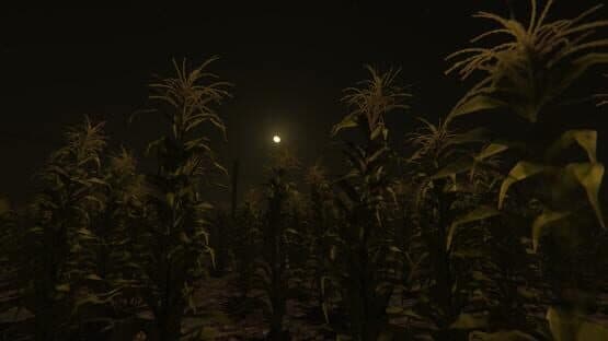 Cornfield — screenshot 3