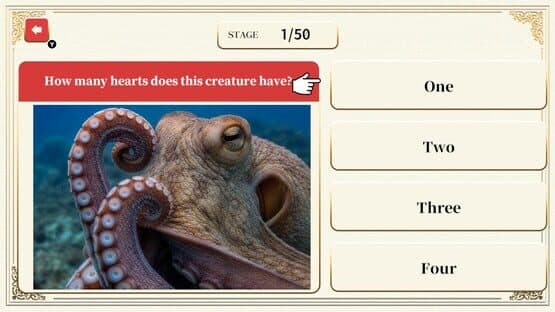 Professor Neumann's Adult Certification Test — screenshot 1