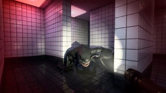 Backrooms: Premium Edition — screenshot 2