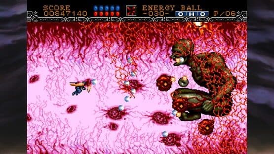 Gynoug — screenshot 2