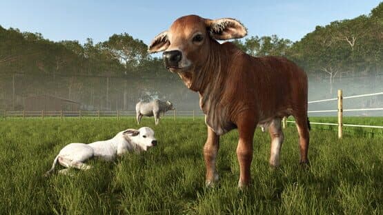 Farming Simulator 25: Beans & Alpacas Expansion — screenshot 6
