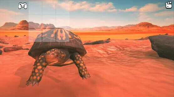 Catch the Turtle — screenshot 1