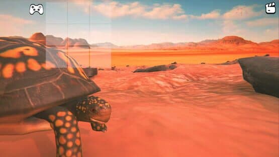 Catch the Turtle — screenshot 3