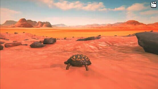 Catch the Turtle — screenshot 5
