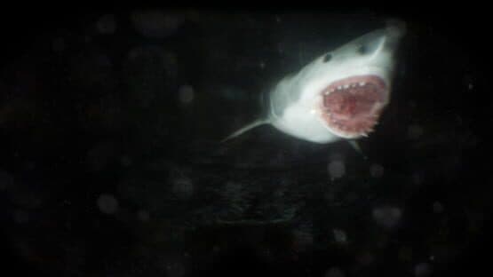 Scary Cave Diving — screenshot 5