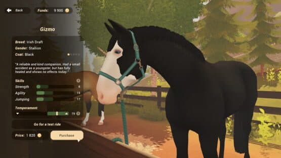 Fernhoof Grove: Riding Academy — screenshot 5