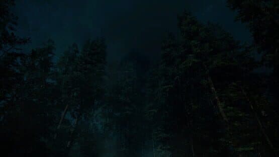 Forest Lookout — screenshot 1
