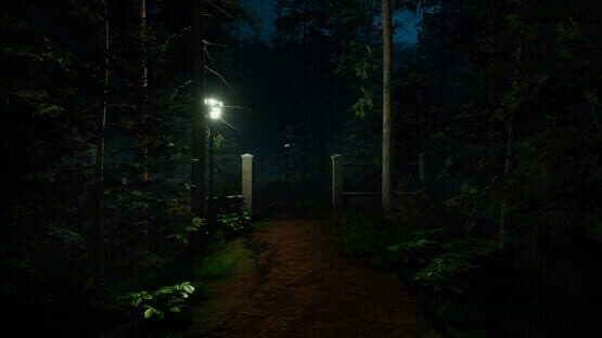 Forest Lookout — screenshot 5