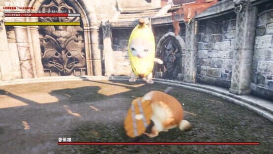 What the Dog Doing? — screenshot 1