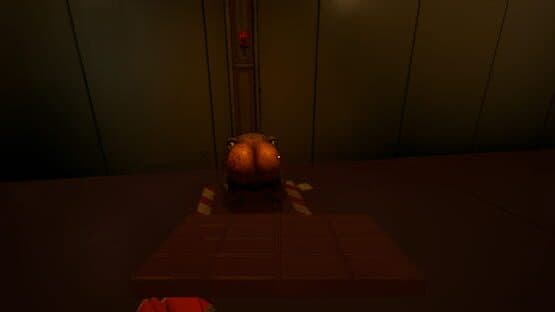 Karakulo 21 — screenshot 4
