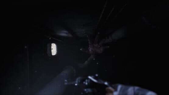 Black Lake — screenshot 2