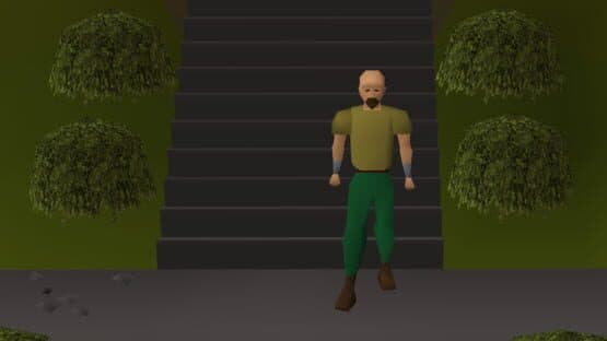 Old School RuneScape — screenshot 8