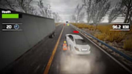 Traffic Survivor — screenshot 1