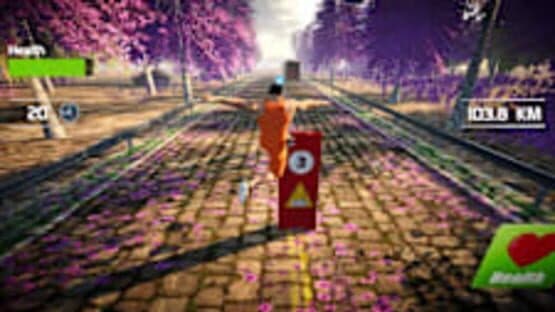 Traffic Survivor — screenshot 3