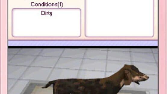 Let's Play Pet Hospital — screenshot 3