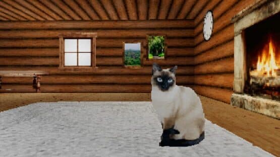 Take Care Of The Cat — screenshot 1