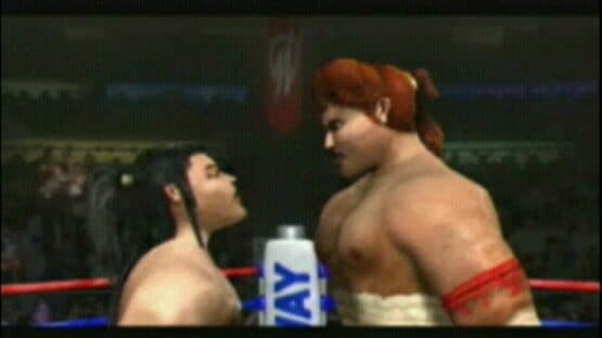 Ready 2 Rumble Boxing: Round 2 — screenshot 4