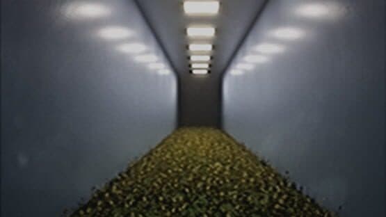 Your Happy Place — screenshot 2