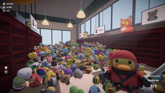 Sort Them Ducks — screenshot 1