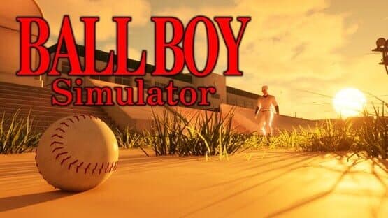 Ball Boy Simulator — screenshot 1