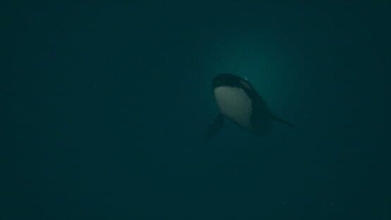 Dark of the Depths — screenshot 3