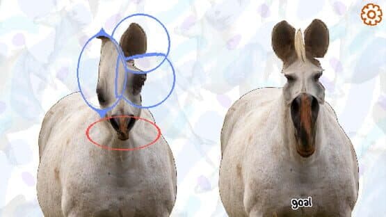 Horse Magnifier: The Full Horse — screenshot 3
