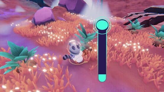 Coffee Raccoons — screenshot 2